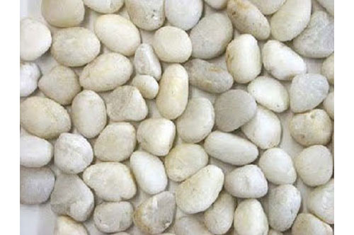Sỏi1