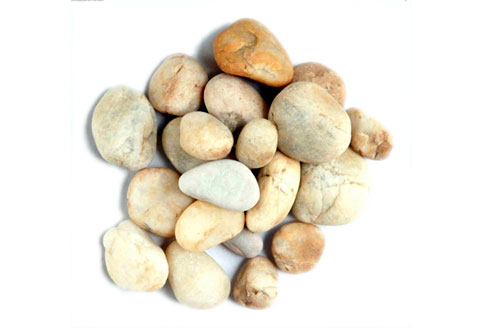 Sỏi20